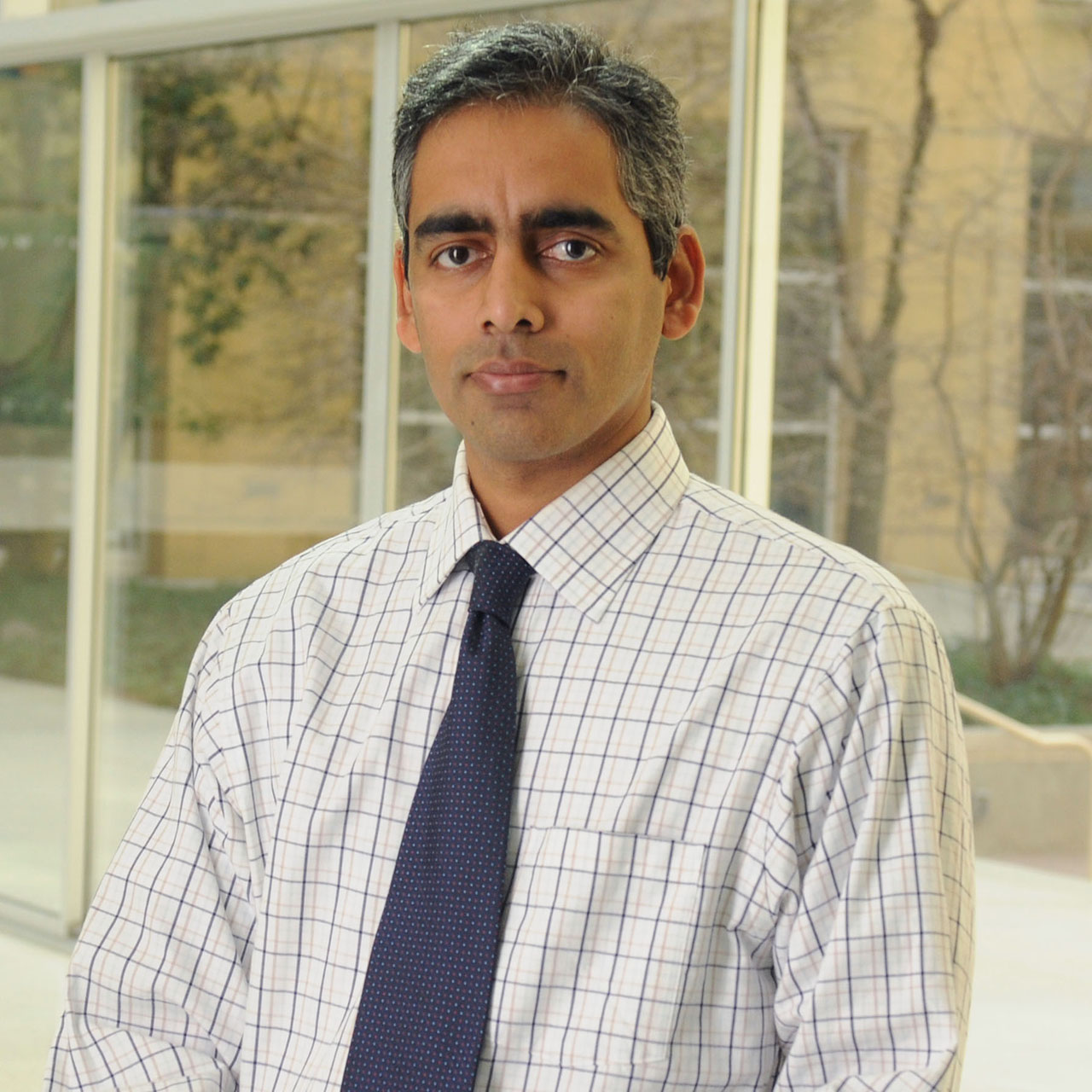 Professor Karthik Ramachandran