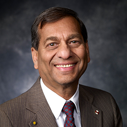Professor Suresh P. Sethi University of Texas at Dallas